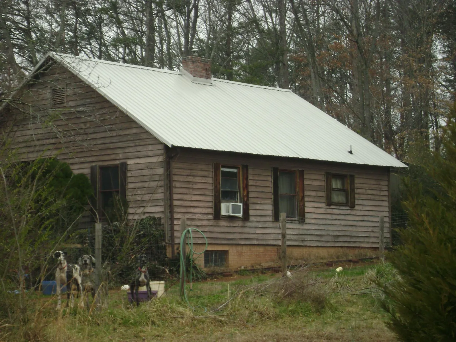 White metal roof on an old wood sided farmhouse, from a Asphalt Shingle Roof Repair job in Davenport